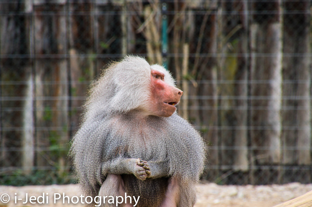 Zoo-Augsburg-27.jpg